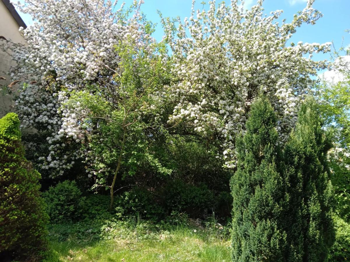 Vakantie Boerderij De Boerenzwaluw Karl 외부 사진
