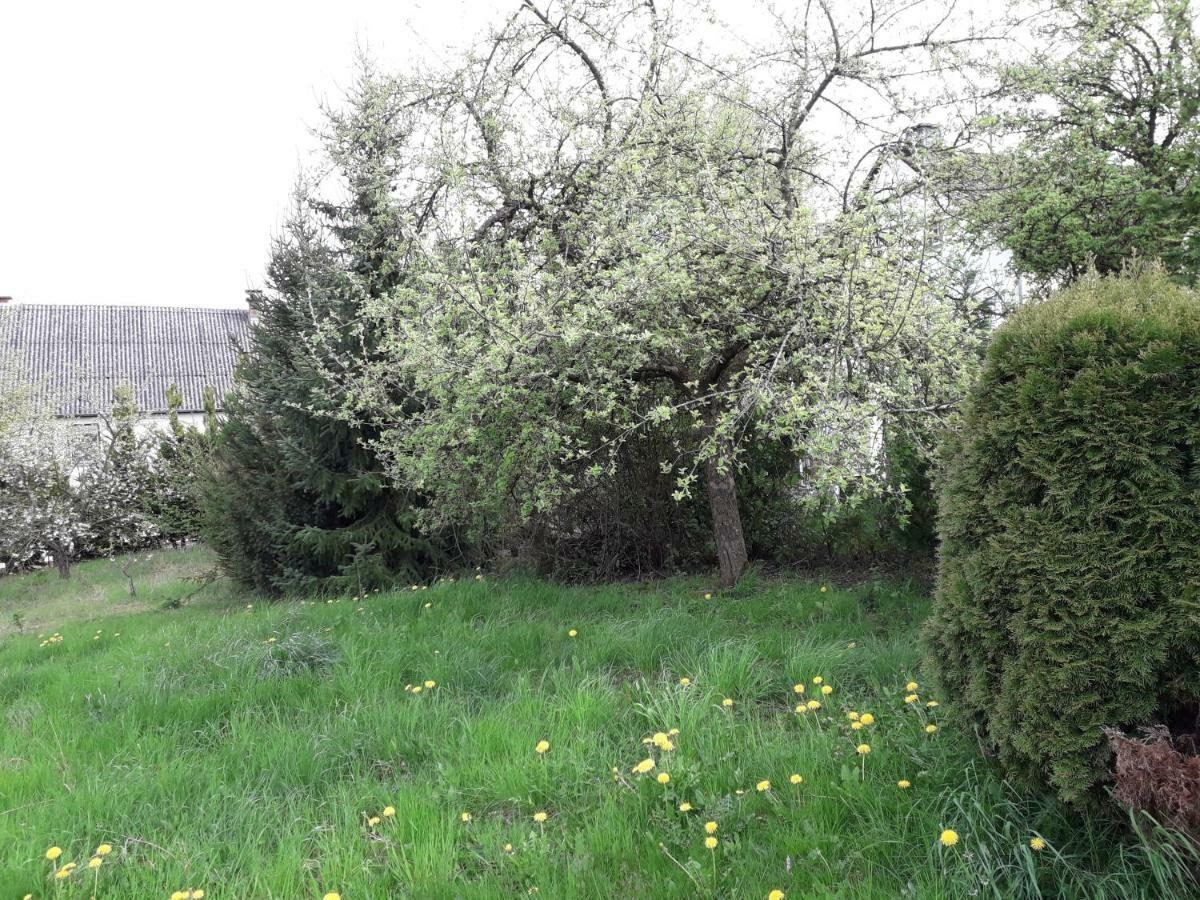 Vakantie Boerderij De Boerenzwaluw Karl 외부 사진